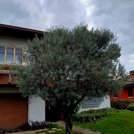 Ponte Marchese Caldogno