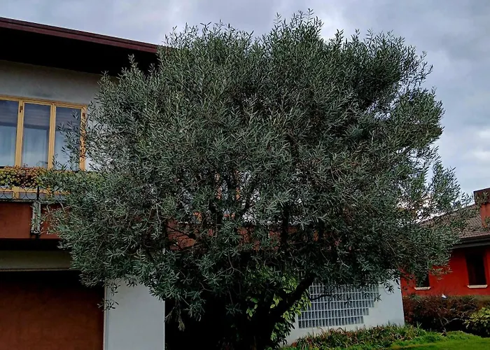 Ponte Marchese Caldogno